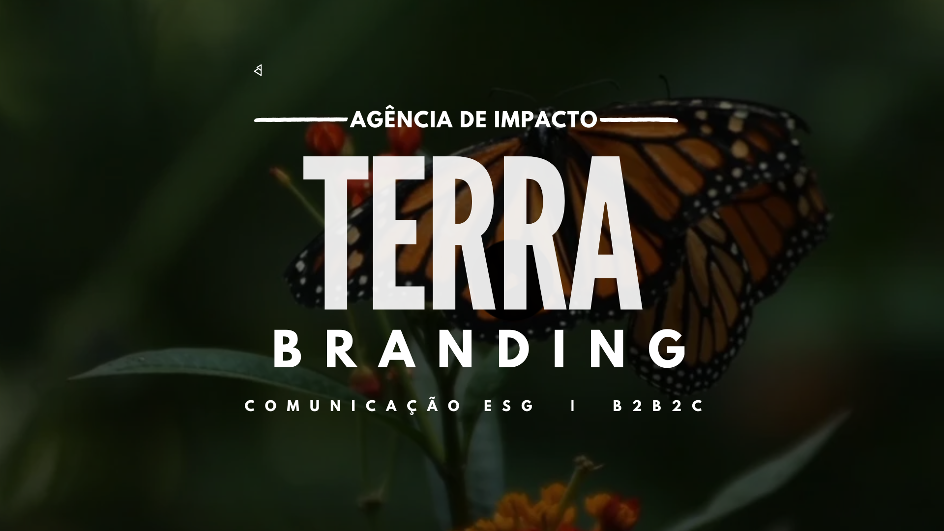 TERRA BRANDING